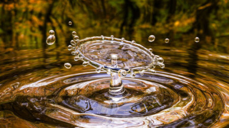 Test 1